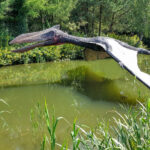 Terrifying "dragon" discovered in Australia