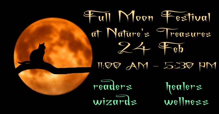 A cat on a branch silhouetted before a full moon. Text reads Full Moon Festival at Nature's Treasures, 24 Feb, 11:00am - 5:30pm, readers healers, wizard, welness"